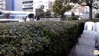 国产AV 果冻传媒 贺元宵 妲己醉酒 苏妲己